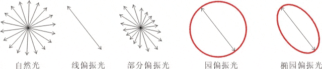 什么是偏振光？偏振光是如何完成檢測的？