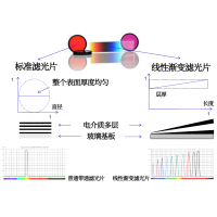 線性漸變?yōu)V光片是什么？有何特點？