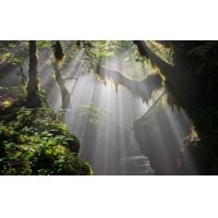光的干涉、衍射、折射、反射、散射